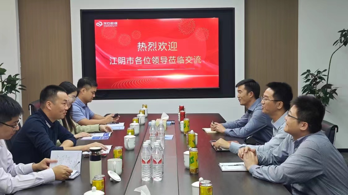 江阴市数据局莅临龙石数据调研