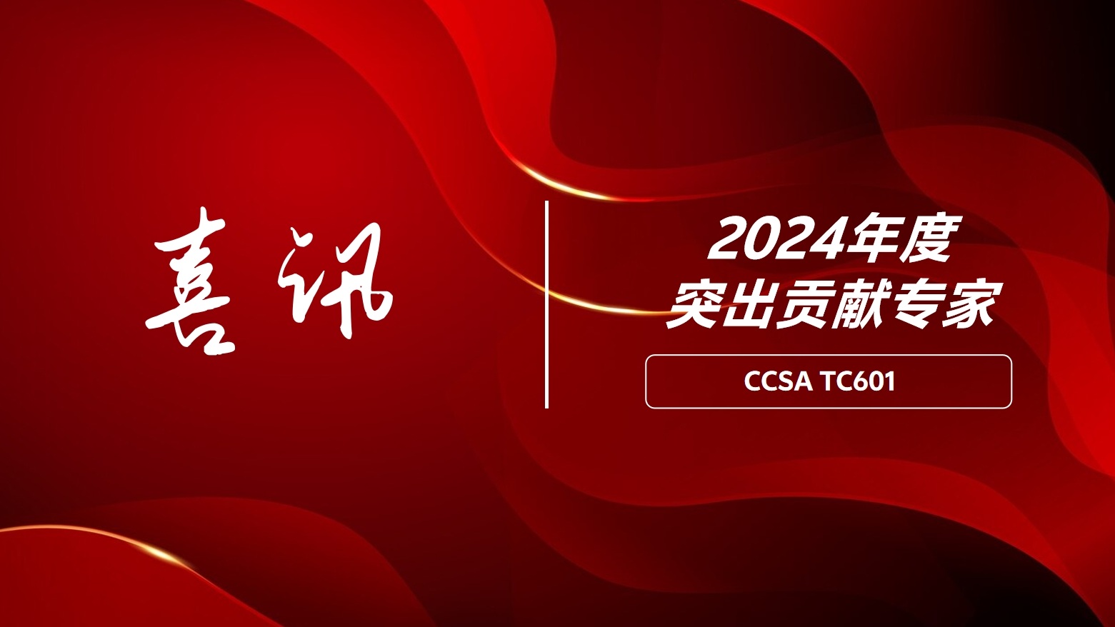 龙石数据总经理练海荣获评CCSA TC601 2024年度突出贡献专家