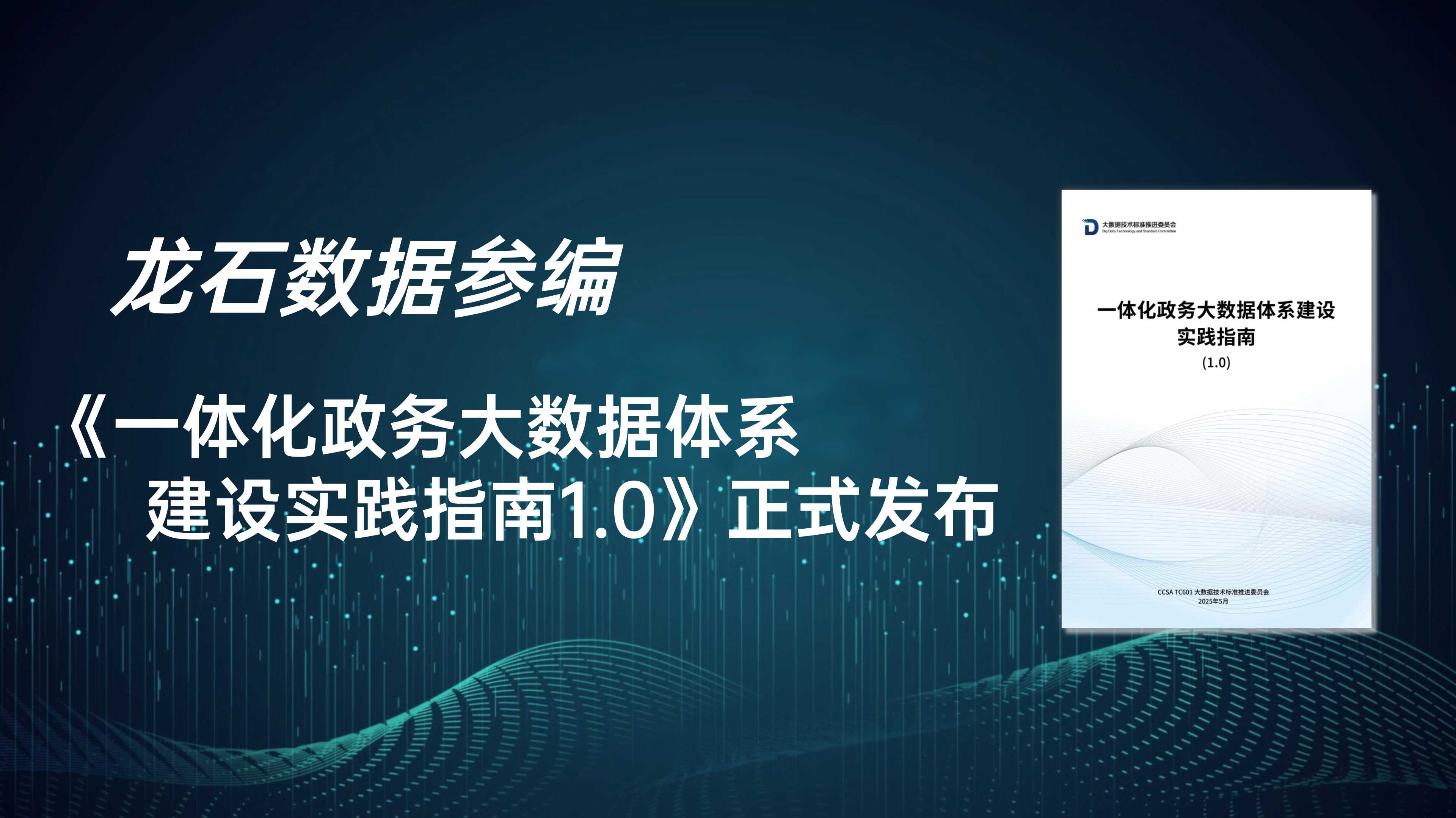 龙石数据参编《一体化政务大数据体系建设实践指南1.0》正式发布！