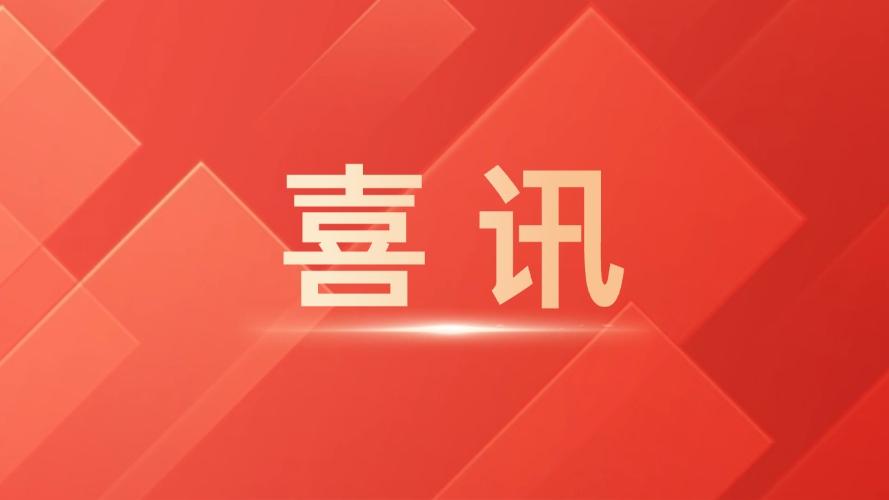喜讯！龙石数据成功入选2026年江苏省高质量数据集建设先行先试项目试点