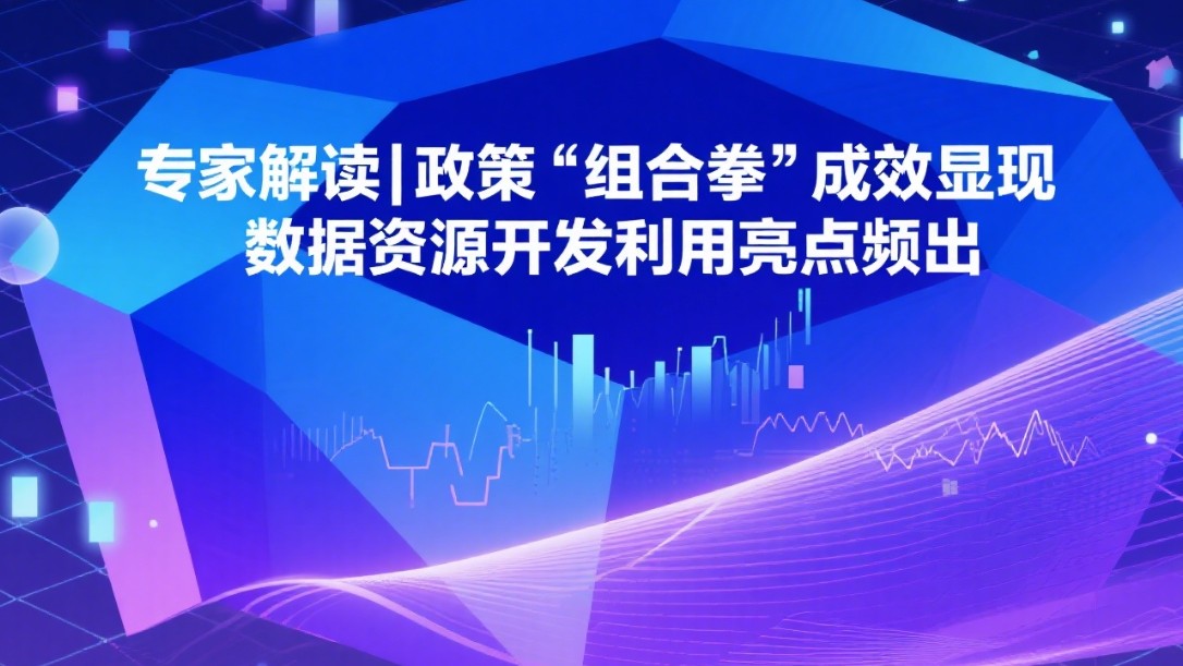 政策“组合拳”成效显现 数据资源开发利用亮点频出