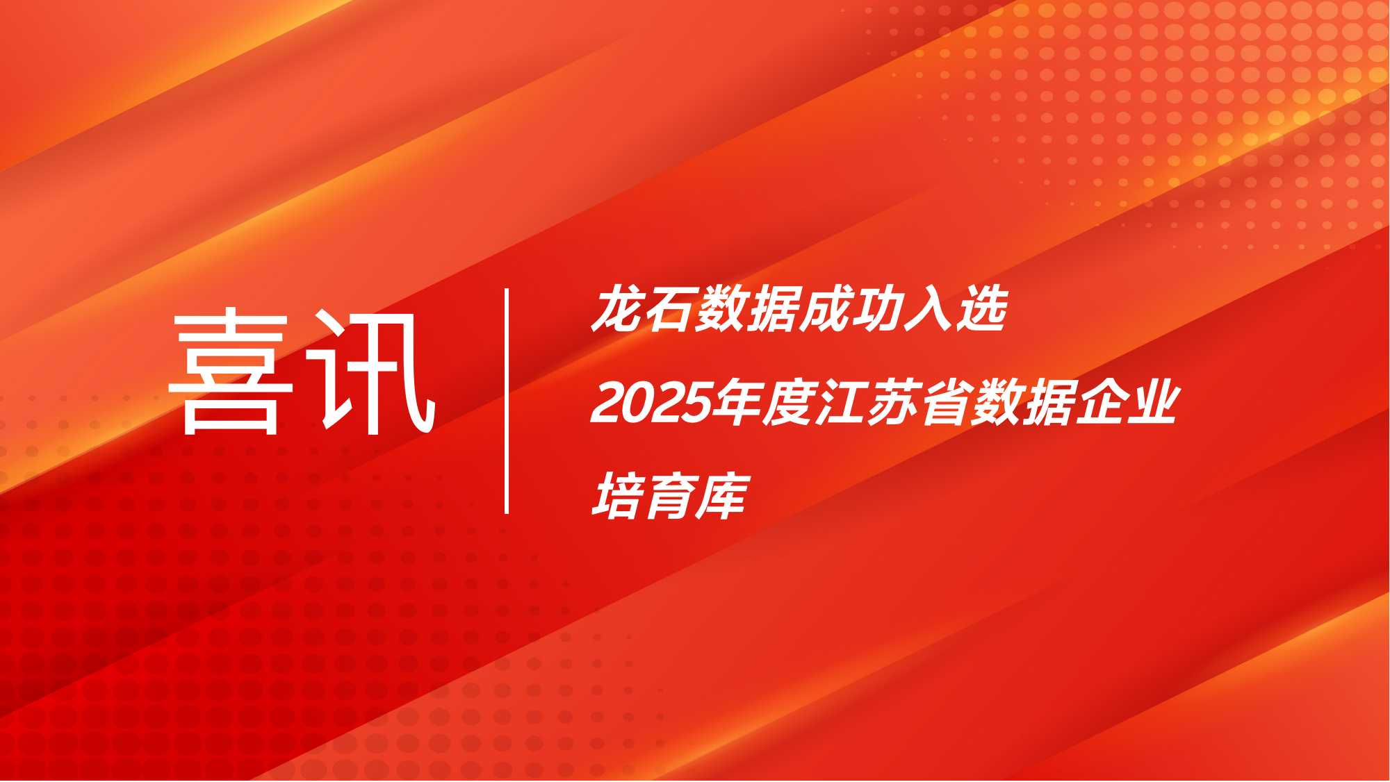 喜讯！龙石数据成功入选江苏省首批数据企业培育库