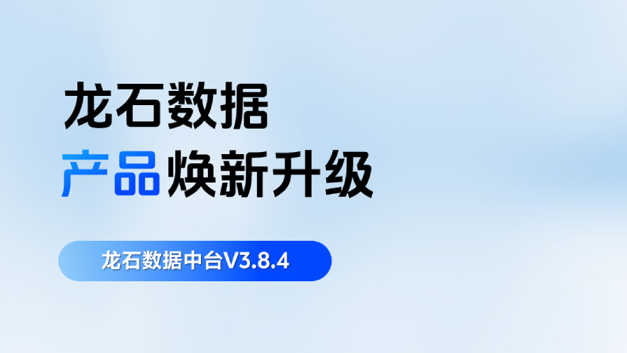 龙石数据中台 V3.8.4 升级 | 数据集成心跳检测，数据处理更稳定