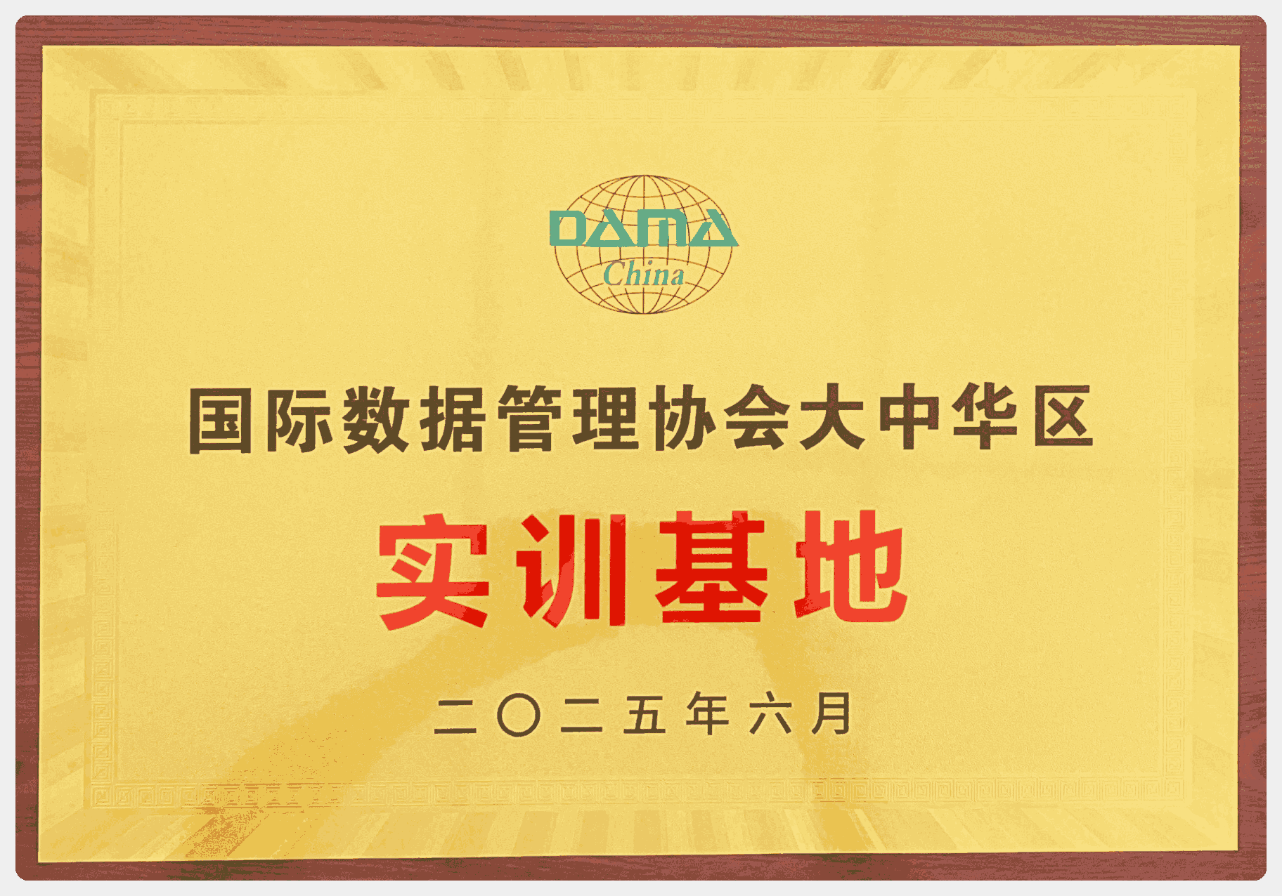 DAMA奖项