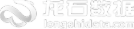 龙石数据