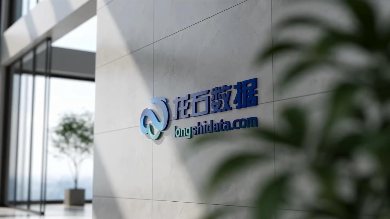 龙石数据企业宣传片｜赋能客户成为数据治理实战专家