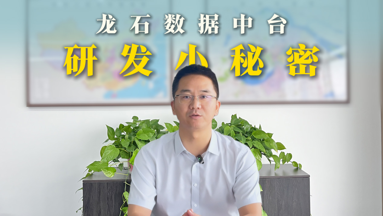 龙石数据中台研发小秘密:批评与自我批评 + 慢即是快